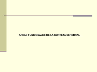 AREAS FUNCIONALES DE LA CORTEZA CEREBRAL
 