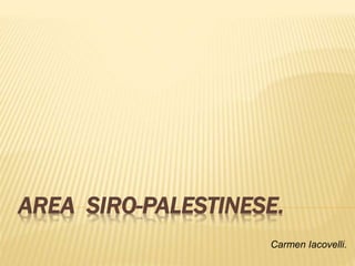 AREA SIRO-PALESTINESE.
Carmen Iacovelli.
 