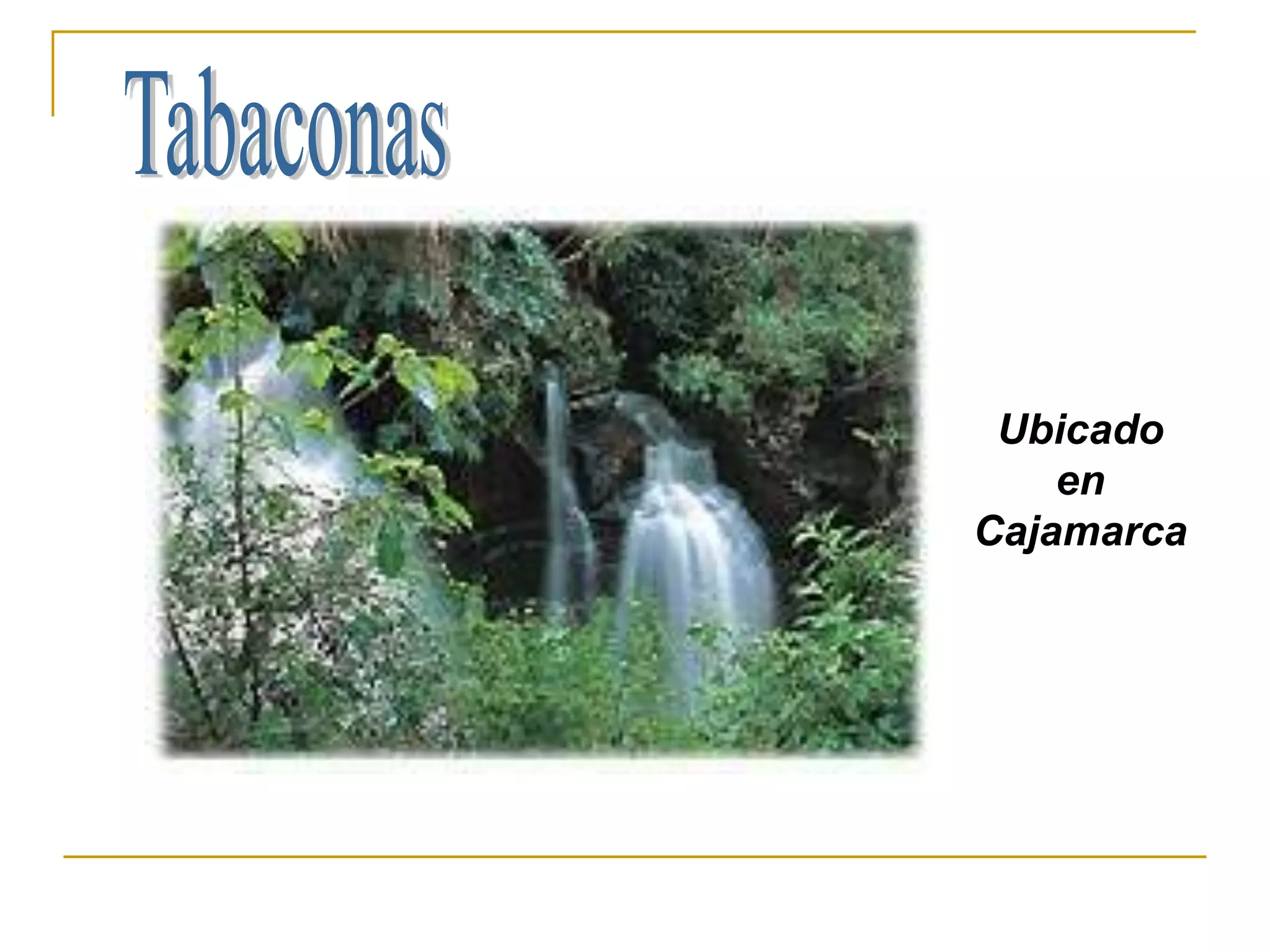 Ubicado
    en
Cajamarca
 