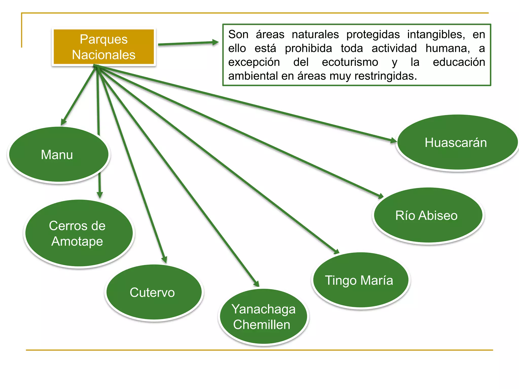 Parques           Son áreas naturales protegidas intangibles, en
                      ello está prohibida toda actividad humana, a
   Nacionales
                      excepción del ecoturismo y la educación
                      ambiental en áreas muy restringidas.




                                                         Huascarán
Manu



                                                     Río Abiseo
Cerros de
Amotape


                                       Tingo María
            Cutervo
                      Yanachaga
                      Chemillen
 