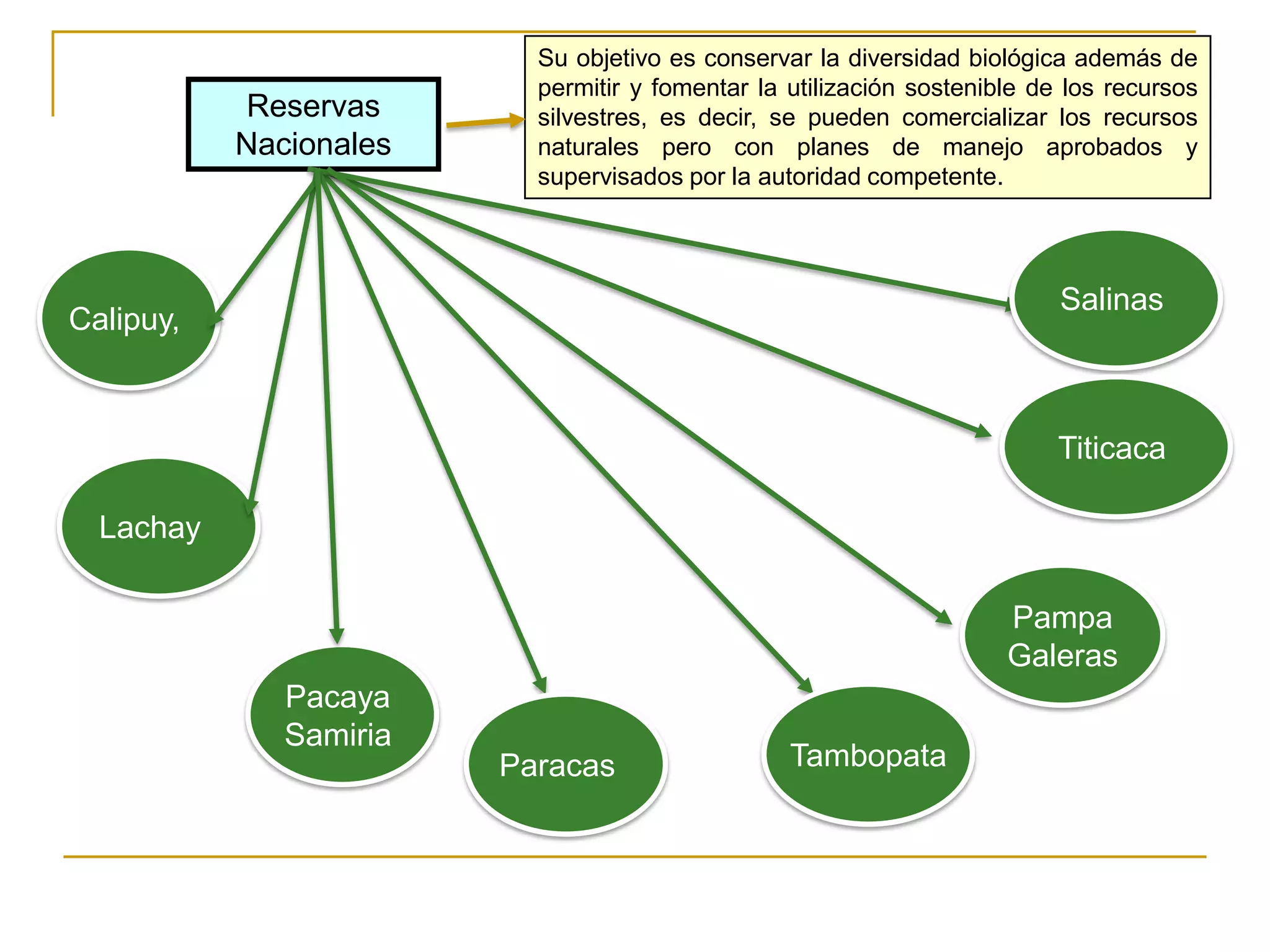 Su objetivo es conservar la diversidad biológica además de
                          permitir y fomentar la utilización sostenible de los recursos
           Reservas       silvestres, es decir, se pueden comercializar los recursos
           Nacionales     naturales pero con planes de manejo aprobados y
                          supervisados por la autoridad competente.




                                                                          Salinas
Calipuy,



                                                                          Titicaca

  Lachay

                                                                     Pampa
                                                                     Galeras
              Pacaya
              Samiria
                        Paracas                  Tambopata
 