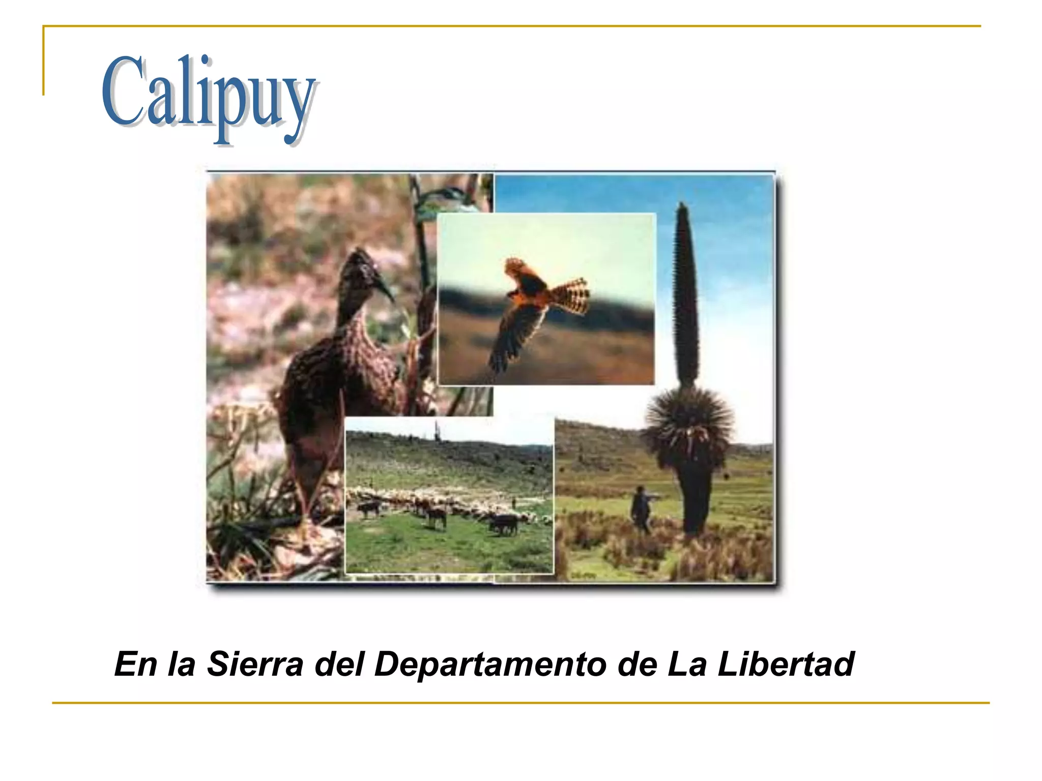 En la Sierra del Departamento de La Libertad
 