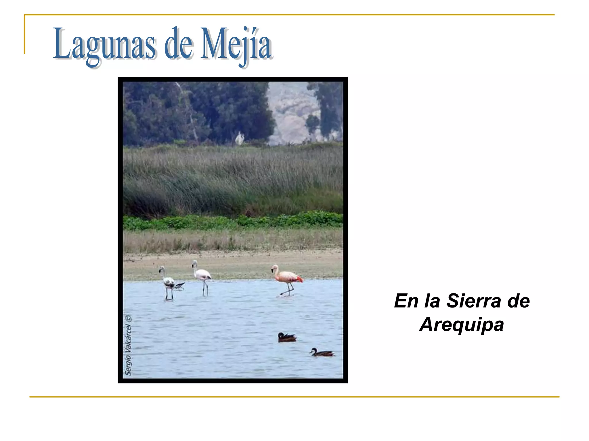 En la Sierra de
  Arequipa
 