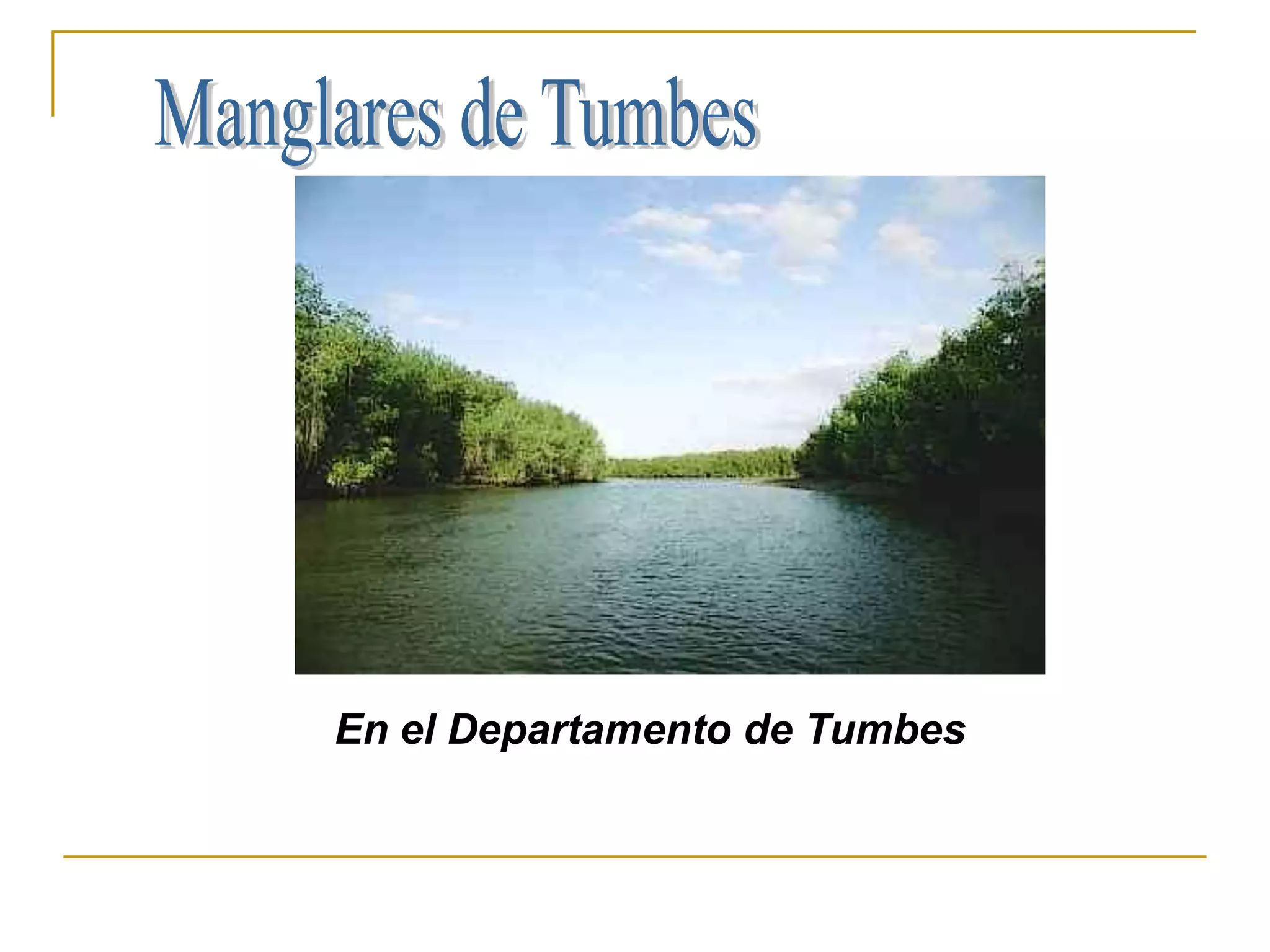 En el Departamento de Tumbes
 