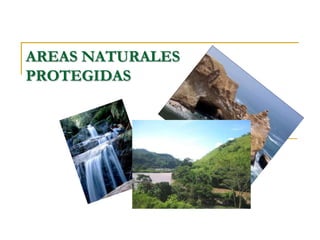 AREAS NATURALES
PROTEGIDAS
 
