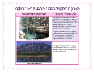 AREA NATURAL PROTEGIDA LUGAR DE PROCEDENCIA
Manantial de la Media Luna
Es un área natural protegida estatal de
San Luis Luis Potosí, declarada el 7 de junio de
2003 como «Área Natural Protegida Parque
Estatal “Manantial de la Media Luna”», con un
área protegida de 285-22-57 ha. Es
administrada por la SEGAM (Secretaría de
Ecología y Gestión Ambiental).
La laguna de la Media Luna es una pequeño
Laguna natural localizada en el municipio de
Río Verde en San Luis Potosí, México. El
nombre de Media Luna se debe a que la
laguna tiene forma de medialuna.
Parque nacional Gogorrón
El Parque Nacional Gogorrón es un parque
nacional de México situado en el estado de
San Luis Potosí. Esta área protegida de 250
km² fue creada en 1936.
 