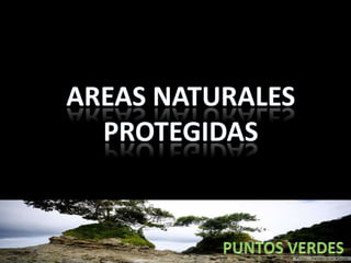 AREAS NATURALES PROTEGIDAS PUNTOS VERDES 