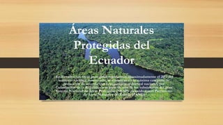 Áreas Naturales
Protegidas del
Ecuador
En Ecuador, las áreas protegidas representan aproximadamente el 20% del
territorio nacional conservado, se enmarcan en la máxima categoría de
protección de acuerdo con la legislación ambiental nacional, por
Constitución de la República son parte de uno de los subsistemas del gran
Sistema Nacional de Áreas Protegidas (SNAP) conocido como Patrimonio
de Áreas Naturales del Estado (PANE)
 