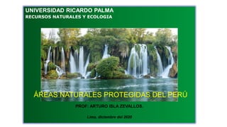 UNIVERSIDAD RICARDO PALMA
RECURSOS NATURALES Y ECOLOGIA
PROF: ARTURO ISLA ZEVALLOS.
Lima, diciembre del 2020
ÁREAS NATURALES PROTEGIDAS DEL PERÚ
 
