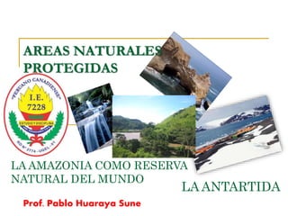 AREAS NATURALES
PROTEGIDAS
LA AMAZONIA COMO RESERVA
NATURAL DEL MUNDO
LA ANTARTIDA
Prof. Pablo Huaraya Sune
 