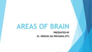 AREAS OF BRAIN
PRESENTED BY
Dr. NERUSU SAI PRIYANKA (PT)
 