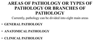 AREAS OF PATHOLOGY OR TYPES OF
PATHOLOGY OR BRANCHES OF
PATHOLOGY
Currently, pathology can be divided into eight main areas
• GENERAL PATHOLOGY
• ANATOMICAL PATHOLOGY
• CLINICAL PATHOLOGY
 