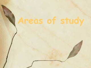 Areas of study
 