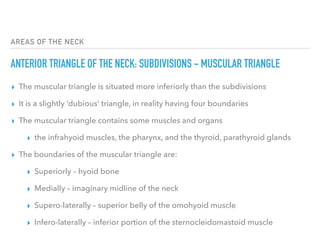 Areas of the neck | PDF