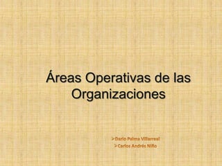 Áreas Operativas de las Organizaciones ,[object Object]