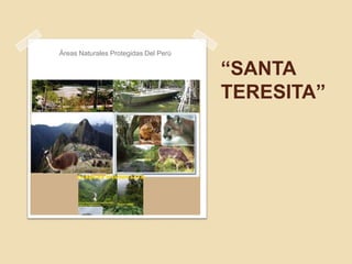 Áreas Naturales Protegidas Del Perú “SANTA TERESITA” 