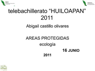 telebachillerato “HUILOAPAN” 2011 Abigail castillo olivares AREAS PROTEGIDAS ecología 16 JUNIO  2011  