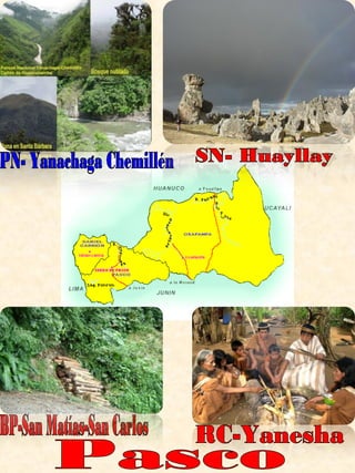 Pasco BP-San Matías-San Carlos PN- Yanachaga Chemillén SN- Huayllay RC-Yanesha 