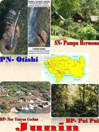 Junin RP- Nor Yauyos Cochas BP- Pui Pui PN- Otishi SN- Pampa Hermosa 