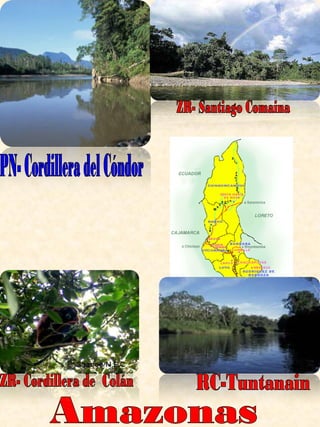 Amazonas PN- Cordillera del Cóndor ZR- Santiago Comaina ZR- Cordillera de  Colán RC-Tuntanain 