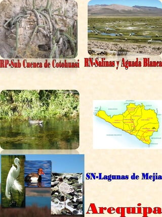 Arequipa RP-Sub Cuenca de Cotohuasi SN-Lagunas de Mejia RN-Salinas y Aguada Blanca 