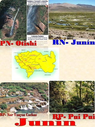 Junin RP- Nor Yauyos Cochas BP- Pui Pui PN- Otishi RN- Junín 