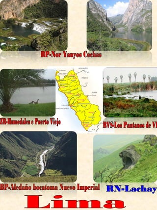 Lima BP-Aledaño bocatoma Nuevo Imperial RP-Nor Yauyos Cochas RN-Lachay ZR-Humedales e Puerto Viejo RVS-Los Pantanos de VIlla 