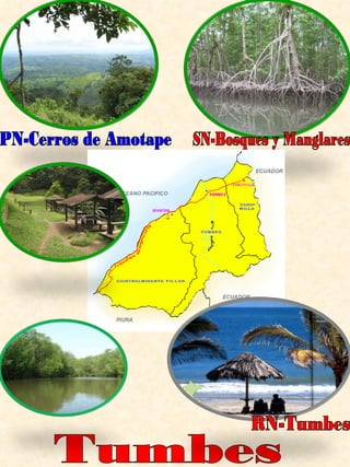 Tumbes PN-Cerros de Amotape SN-Bosques y Manglares RN-Tumbes 