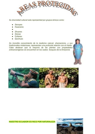 Su diversidad cultural esta representad por grupos etnicos como:

      Secoyas
      Huaoranis
   
      Shuaras
      Sionas
      Cofanes
      Quichuas

Su increíble conocimiento de la medicina natural, shamanismo, y sus
tradicionales misteriosas, representan una profunda relación con el medio.
Cabe destacar que la mayoría de las plantas con propiedades
anticancerigenas se encuentran en los vastos bosques de la Amazonia




NUESTRO ECUADOR ES RICO POR NATURALEZA
 