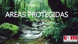 AREAS PROTEGIDAS
INTEGRANTES : GABRIEL SANTAMARIA
CRISTIAN PECHENE
 