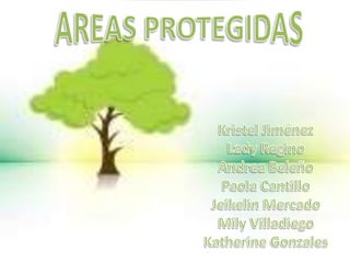 Areas protegidas1 .docx