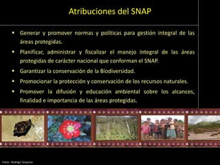 Atribuciones del SNAP
 Generar y promover normas y políticas para gestión integral de las
áreas protegidas.
 Planificar, administrar y fiscalizar el manejo integral de las áreas
protegidas de carácter nacional que conforman el SNAP.
 Garantizar la conservación de la Biodiversidad.
 Promocionar la protección y conservación de los recursos naturales.
 Promover la difusión y educación ambiental sobre los alcances,
finalidad e importancia de las áreas protegidas.
Fotos: Rodrigo Tarquino
 