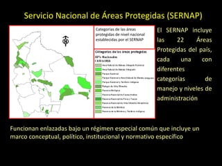 Servicio Nacional de Áreas Protegidas (SERNAP)
El SERNAP incluye
las 22 Áreas
Protegidas del país,
cada una con
diferentes
categorías de
manejo y niveles de
administración
Categorías de las áreas
protegidas de nivel nacional
establecidas por el SERNAP
Funcionan enlazadas bajo un régimen especial común que incluye un
marco conceptual, político, institucional y normativo específico
 