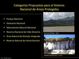 Categorías Propuestas para el Sistema
Nacional de Áreas Protegidas
 Parque Nacional
 Santuario Nacional
 Monumento Natural Nacional
 Reserva Nacional de Vida Silvestre
 Área Natural de Manejo Integrado
 Reserva Natural de Inmovilización
Foto: Rodrigo Tarquino
Serranía del Bala - Beni
ANMIN Apolobamba – La Paz
 