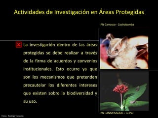 • La investigación dentro de las áreas
protegidas se debe realizar a través
de la firma de acuerdos y convenios
institucionales. Esto ocurre ya que
son los mecanismos que pretenden
precautelar los diferentes intereses
que existen sobre la biodiversidad y
su uso.

Actividades de Investigación en Áreas Protegidas
PN –ANMI Madidi – La Paz
PN Carrasco - Cochabamba
Fotos: Rodrigo Tarquino
 