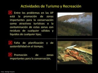 • Entre los problemas en las AP
está la promoción de zonas
importantes para la conservación
como atractivos turísticos o la
contaminación de estas zonas con
residuos de cualquier sólidos y
líquidos de cualquier tipo;
• Falta de planificación y de
sostenibilidad en el tiempo;
• Promoción de zonas
importantes para la conservación.



Actividades de Turismo y Recreación
Fotos: Rodrigo Tarquino
 