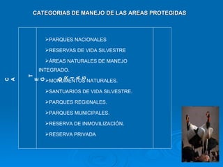 CATEGORIAS DE MANEJO DE LAS AREAS PROTEGIDAS <ul><li>PARQUES NACIONALES </li></ul><ul><li>RESERVAS DE VIDA SILVESTRE </li>...