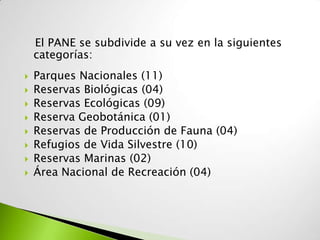 El PANE se subdivide a su vez en la siguientes
    categorías:
   Parques Nacionales (11)
   Reservas Biológicas (04)
   Reservas Ecológicas (09)
   Reserva Geobotánica (01)
   Reservas de Producción de Fauna (04)
   Refugios de Vida Silvestre (10)
   Reservas Marinas (02)
   Área Nacional de Recreación (04)
 