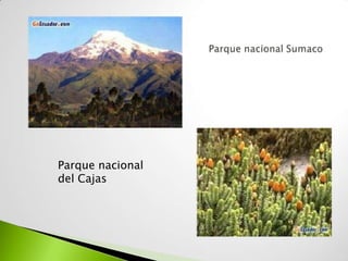 Parque nacional
del Cajas
 