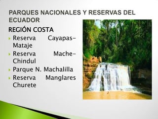 REGIÓN COSTA
 Reserva    Cayapas-
  Mataje
 Reserva     Mache-
  Chindul
 Parque N. Machalilla
 Reserva   Manglares
  Churete
 