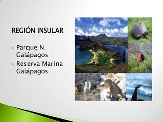 REGIÓN INSULAR

   Parque N.
    Galápagos
   Reserva Marina
    Galápagos
 