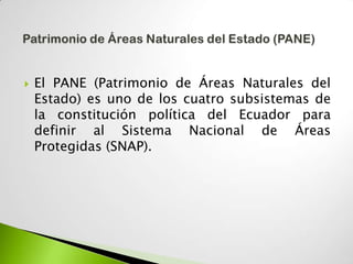    El PANE (Patrimonio de Áreas Naturales del
    Estado) es uno de los cuatro subsistemas de
    la constitución política del Ecuador para
    definir al Sistema Nacional de Áreas
    Protegidas (SNAP).
 