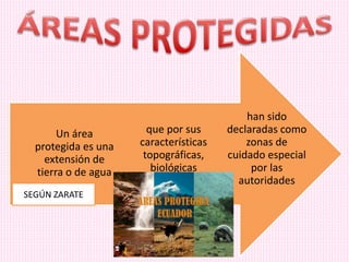 han sido
declaradas como
zonas de
cuidado especial
por las
autoridades
que por sus
características
topográficas,
biológicas
Un área
protegida es una
extensión de
tierra o de agua
SEGÚN ZARATE
 