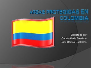 AREAS PROTEGIDAS EN COLOMBIA  Elaborado por  Carlos Alexis Anselmo Erick Camilo Gualteros 