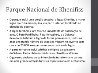 Parque Nacional de Khenifiss
• O parque inclui uma porção costeira, a lagoa Khenfiss, a maior
lagoa na costa marroquina, e a parte interior, localizado no
planalto do deserto.
• A lagoa também é um terreno importante de nidificação de
aves. O Pato Pardilheira, Pato-ferrugíneo, e a Gaivotadeaudouin habitam a lagoa de forma permanente, todos os
anos um grande número de espécies migram no inverno com
cerca de 20.000 aves permanecendo na área da lagoa.
• A parte terrestre inclui sabkhas e é típico da paisagens
do Sahara. Ele também inclui dunas e planaltos calcários.
• O governo declarou a sua intenção de transformar o parque
em uma grande atração turística especializada em ecoturismo.

 