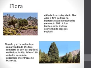 Flora
43% da flora conhecida do Alto
Atlas e 13% da Flora no
Marrocos estão representados
na área do PNT. A flora
também inclui limitada
ocorrência de espécies
tropicais.

Elevado grau de endemismo
compreendendo 154 taxa
composta de 58% das espécies
endêmicas do Alto Atlas e 25%
de todos os espécies
endêmicas encontradas no
Marrocos.

 