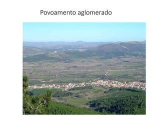 Povoamento aglomerado
 