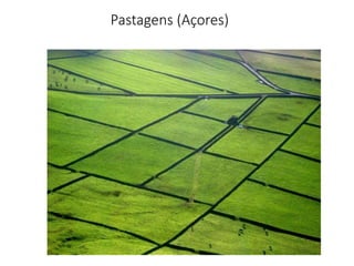 Pastagens (Açores)
 