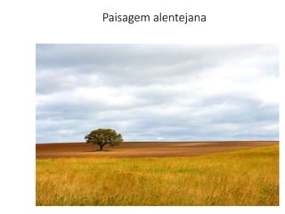 Paisagem alentejana
 