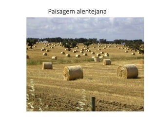 Paisagem alentejana
 